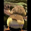 星星子xxxing的头像
