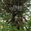 洪湖华锅的头像