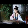 软糯小苏菲的头像