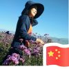 桃柚星河的头像