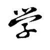 War3魔尊重楼的头像
