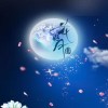 三月喜宝的头像