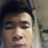 豚鼠本鼠a的头像