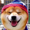 书香丶静静的头像