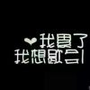 LING-舒宝贝的头像