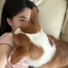 My-小雨龙年迎福气的头像