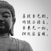 TG-小龙魂的头像