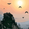 椰宝乖乖的头像
