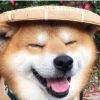 纵横丶天选的头像