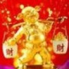 书香丶肉肉的头像