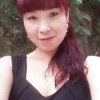 zed的头像