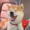 艾薇宝贝de宝贝的头像