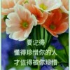 千里耳耳子的头像
