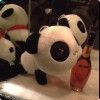 我挖点山药ouo的头像