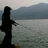 恐龙岛大猎杀的头像