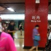 hot-彩麟的头像