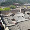 青象-小鹿的头像