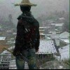 浪子神风的头像