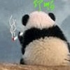 请叫我-老王的头像