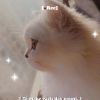 JF-想点就点的头像