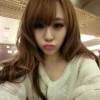 集梦菜菜【ZKL】的头像