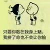 王饱饱L的头像