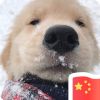 夏一涵a的头像