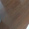 天一鸽鸽【阳光大男孩】的头像