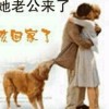 雪乃荔荔枝的头像