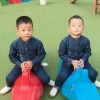 红厂-声入人心-王子宝贝冠的头像