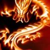集梦东东【ZKL】总管的头像