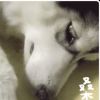鲭宝儿的头像
