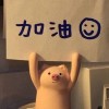 乐乐Cantare的头像