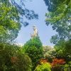 富豪-慕斯【天】的头像