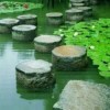 Toto阿童的头像