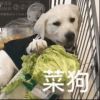小幼熙丶的头像