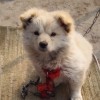 迪丽热依Issey的头像