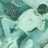 一坨小源源的头像