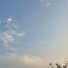 用户已注销的头像