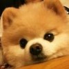 汐儿iii的头像