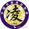 初暖Amy的头像