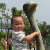 夏乙如的头像