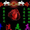 华创-鲍星星的头像