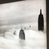 纯情小丽的头像
