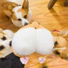 腥味猫罐的头像