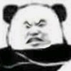 抽纸z的头像
