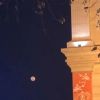 刺猬数码的头像