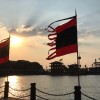 洋葱爱海贼的头像