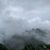 李李李沁彦的头像