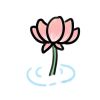 熊锅锅吖的头像
